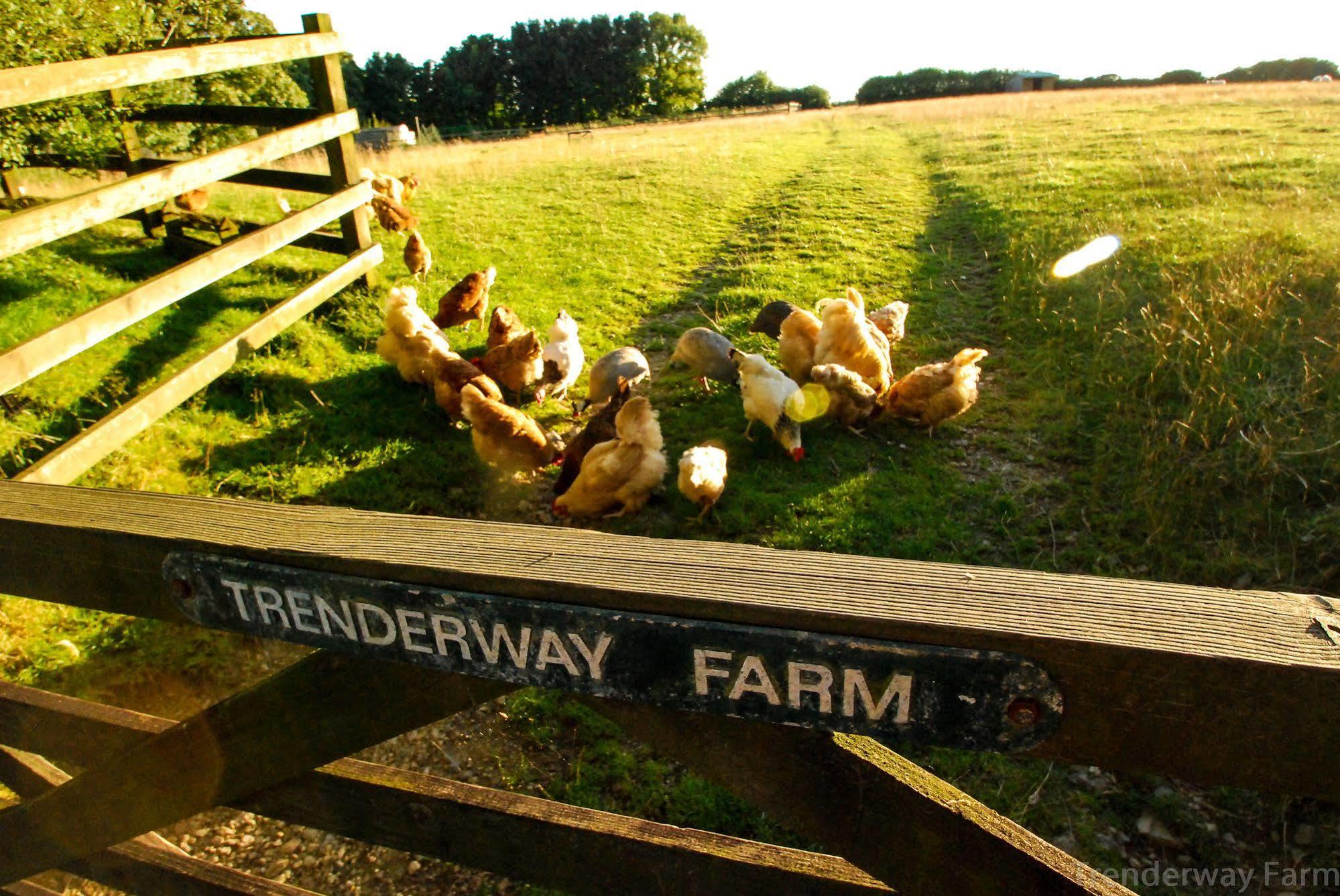 Trenderway Farm Bed & Breakfast Looe Ngoại thất bức ảnh